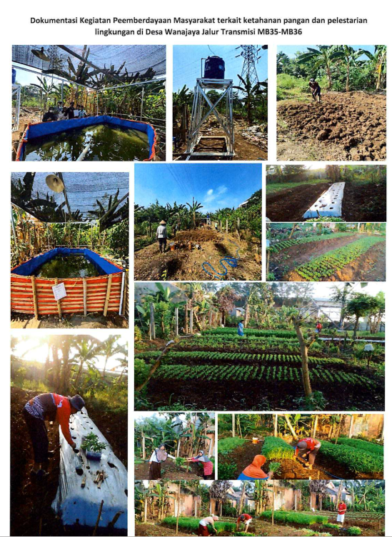 PROGRAM PEMBERDAYAAN MASYARAKAT DI DESA WANAJAYA YANG BERLOKASI DI JALUR TRANSMISI MB35-MB36 RW 009 YANG BERFOKUS PADA KETAHANAN PANGAN DAN PELESTARIAN LINGKUNGAN